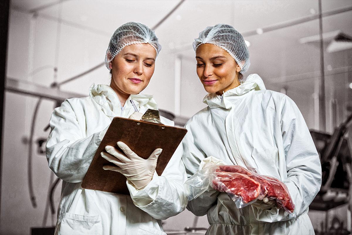 Fleischkonservierungstechniken: Räuchern, Pökeln und Trocknen.
